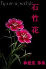 歐美美女25p圖片